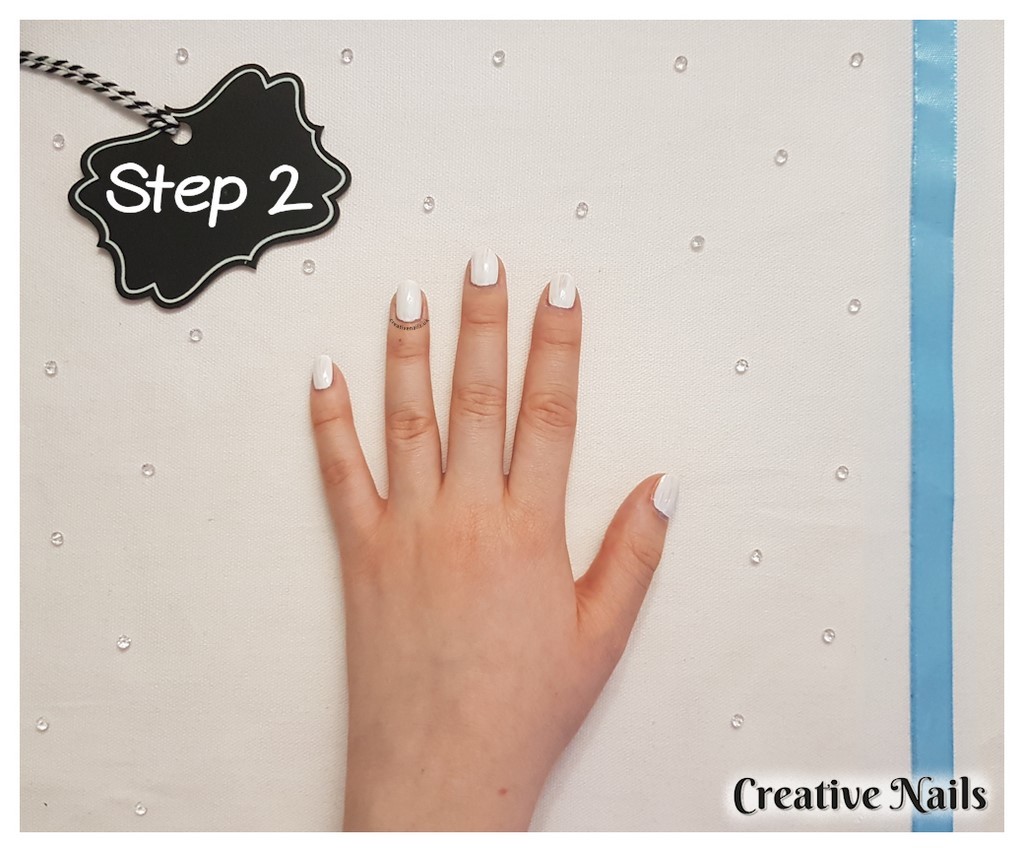 barry m under the sea