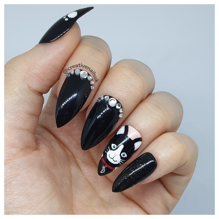 cat nails